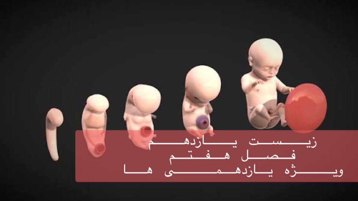 یازدهم - بررسی جامع فصل هفتم یازدهم همراه با حل سوالات کنکور در 4 ساعت - ویژه یازدهمی ها