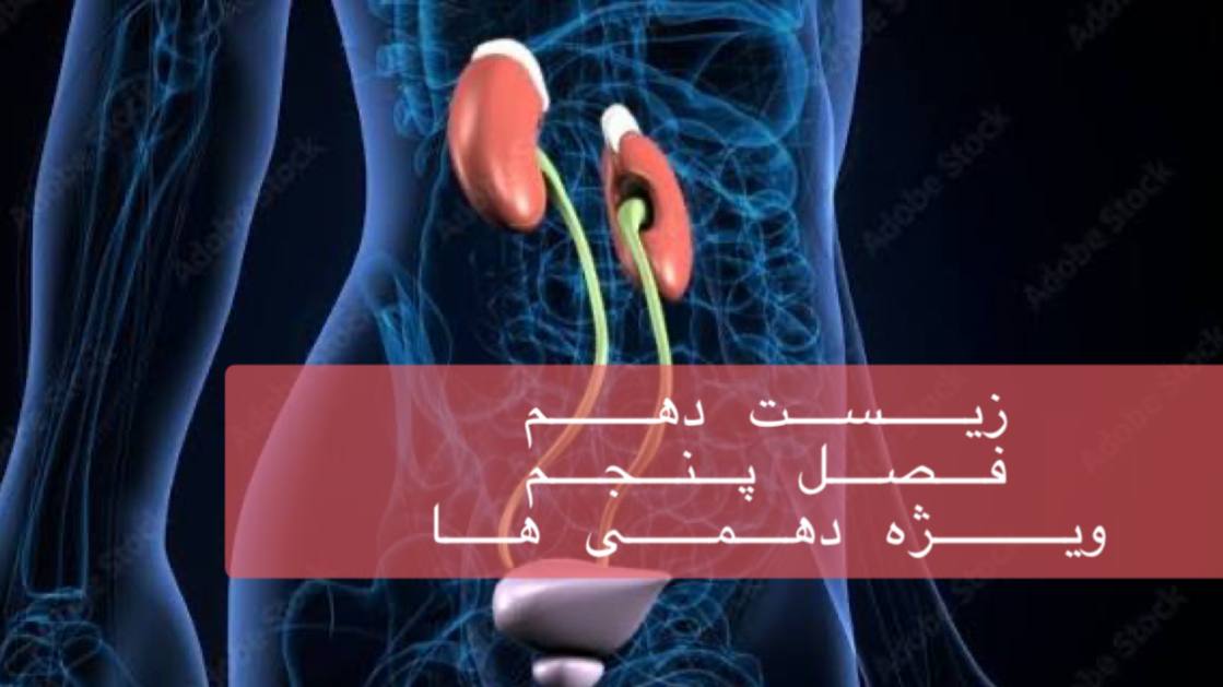 دهم- بررسی جامع فصل پنجم دهم همراه با حل سوالات کنکور در 3/15 ساعت - ویژه دهمی ها