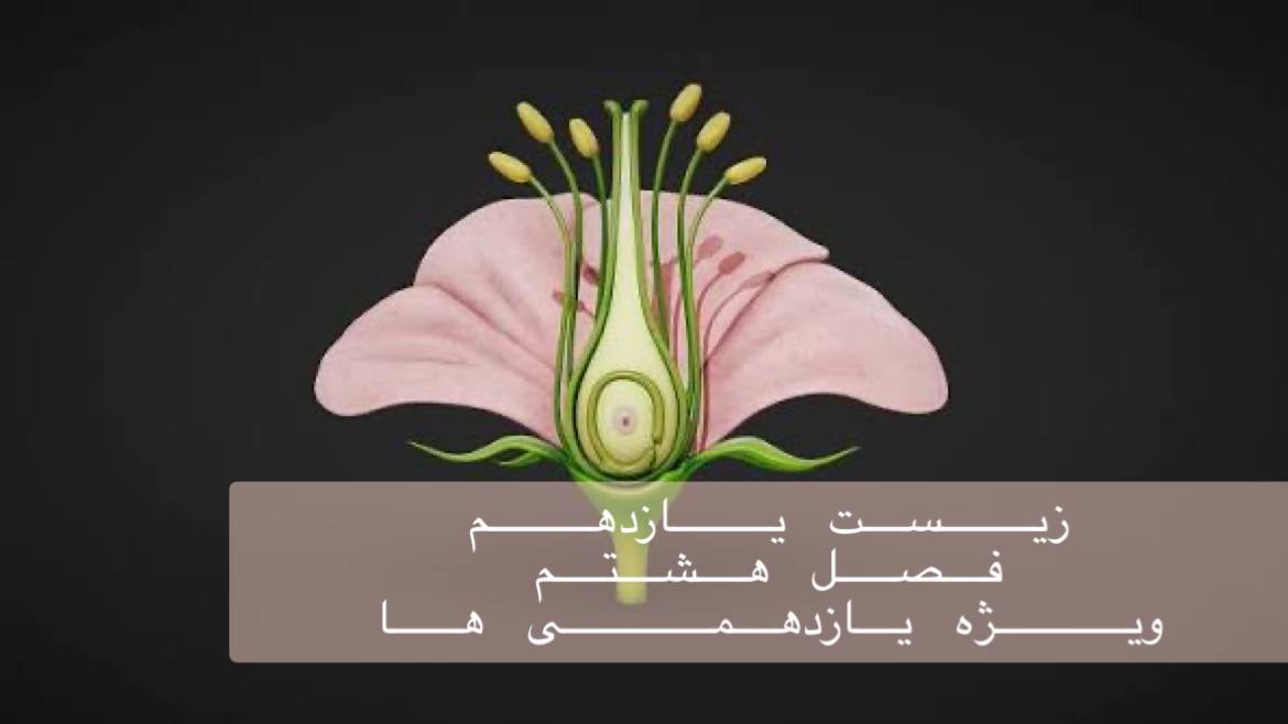 یازدهم- بررسی جامع فصل هشتم همراه با حل سوال کنکور در 3/5 ساعت - ویژه یازدهمی ها