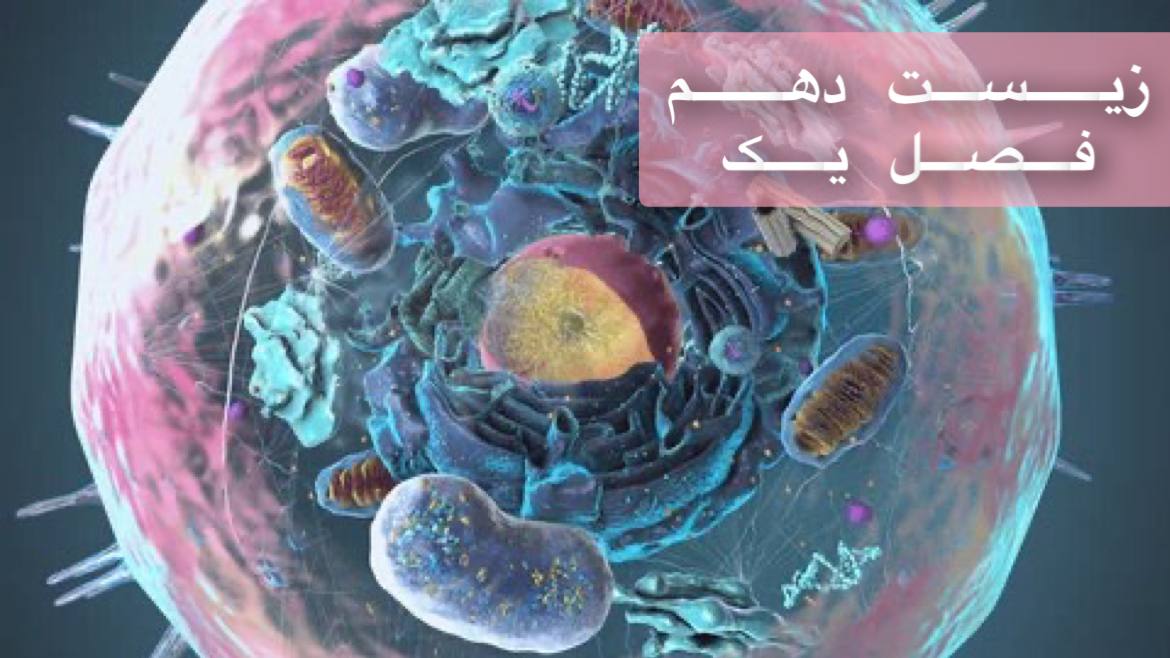 دهم - بررسی جامع فصل اول دهم - ویژه دهمی ها